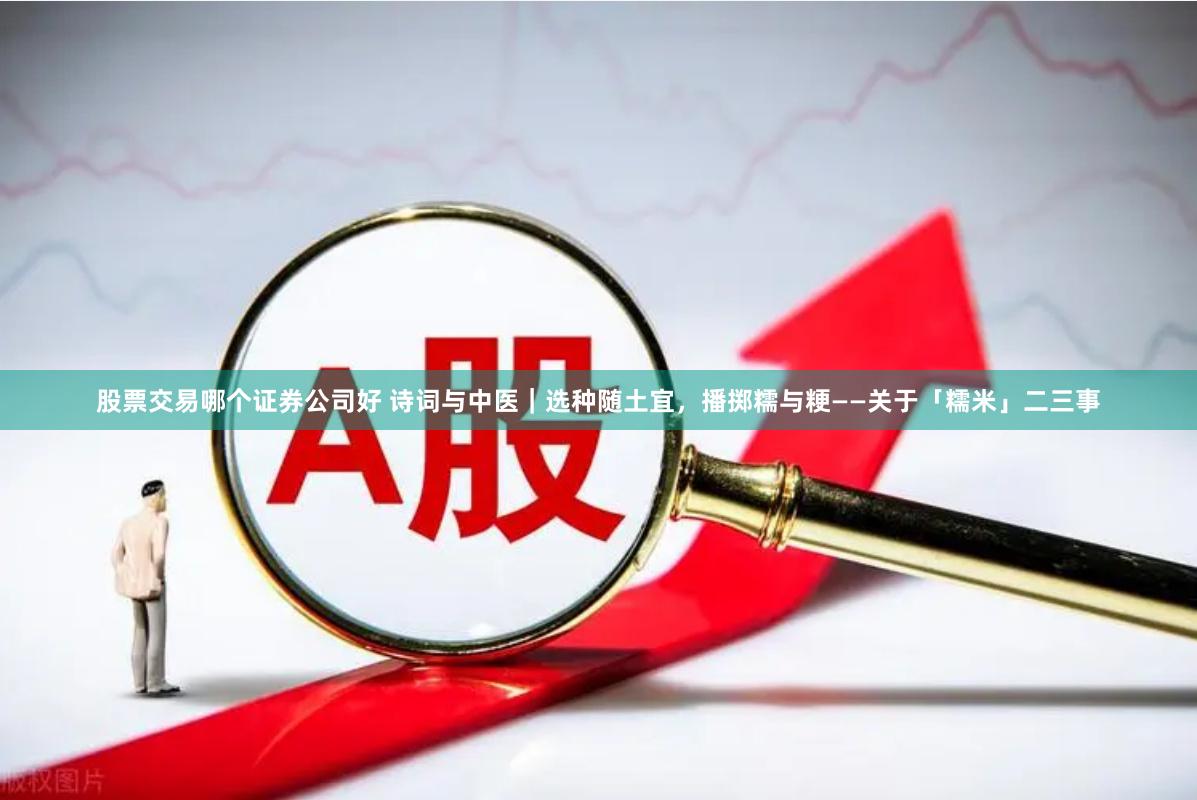 股票交易哪个证券公司好 诗词与中医｜选种随土宜，播掷糯与粳——关于「糯米」二三事